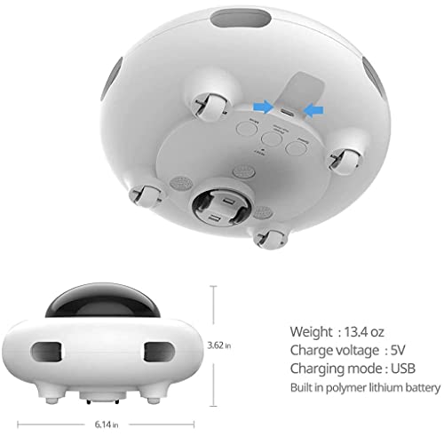 Interactive Automatic Feather Toy with Smart Turntable for Cats & Dogs