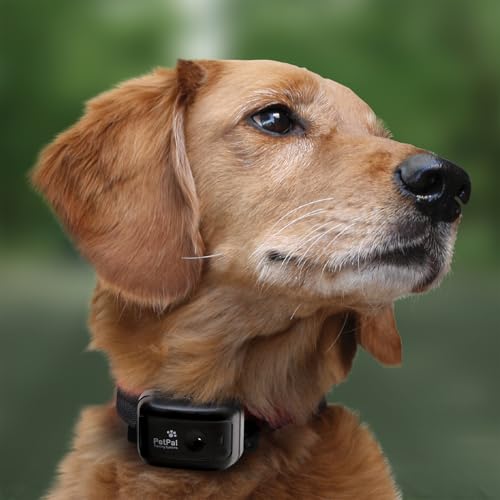 Waterproof Remote Dog Training Collar with 15 Stimulation Levels & Beeper