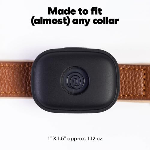 GPS Pet Tracker for Dogs with Live Tracking & Escape Alerts, 14-Day Battery
