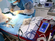 Veterinary Pet Monitor with 6-Parameter Data Storage & Analysis