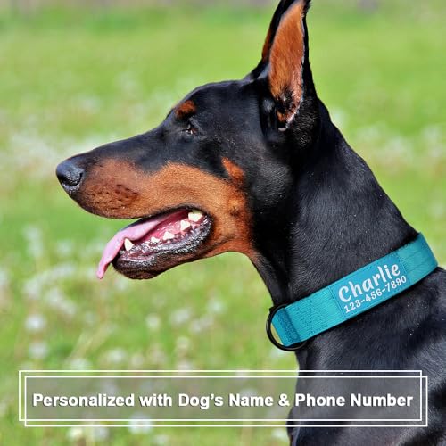 Personalized Tactical Dog Collar Custom with Name and Phone Number