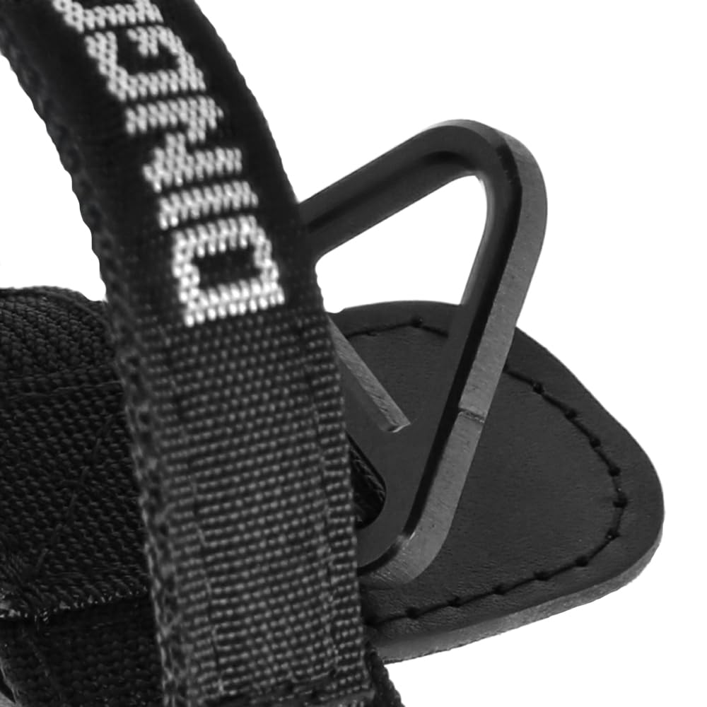 Professional Dog Training Collar with Safety Buckle & Handle, 43–47cm