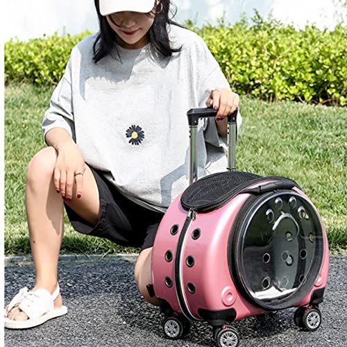 Breathable Pet Trolley Carrier Backpack for Cats & Small Dogs