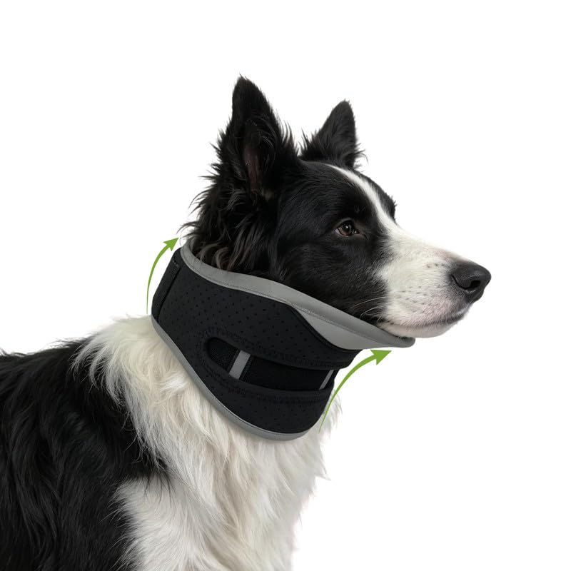 Dog Neck Support Brace for Large Breeds, Cervical Recovery Collar