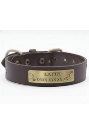 Personalized Genuine Leather Dog Collar with Stainless Steel D-Ring