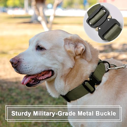 Personalized Tactical Dog Collar Custom with Name and Phone Number