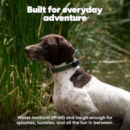 GPS Pet Tracker for Dogs with Live Tracking & Escape Alerts, 14-Day Battery