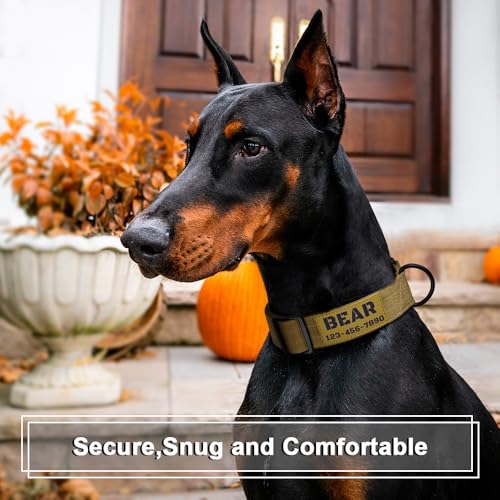 Personalized Tactical Dog Collar Custom with Name and Phone Number