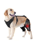 LISPOO Dog Knee Brace – Rear Leg Support for Luxating Patella,Both Legs