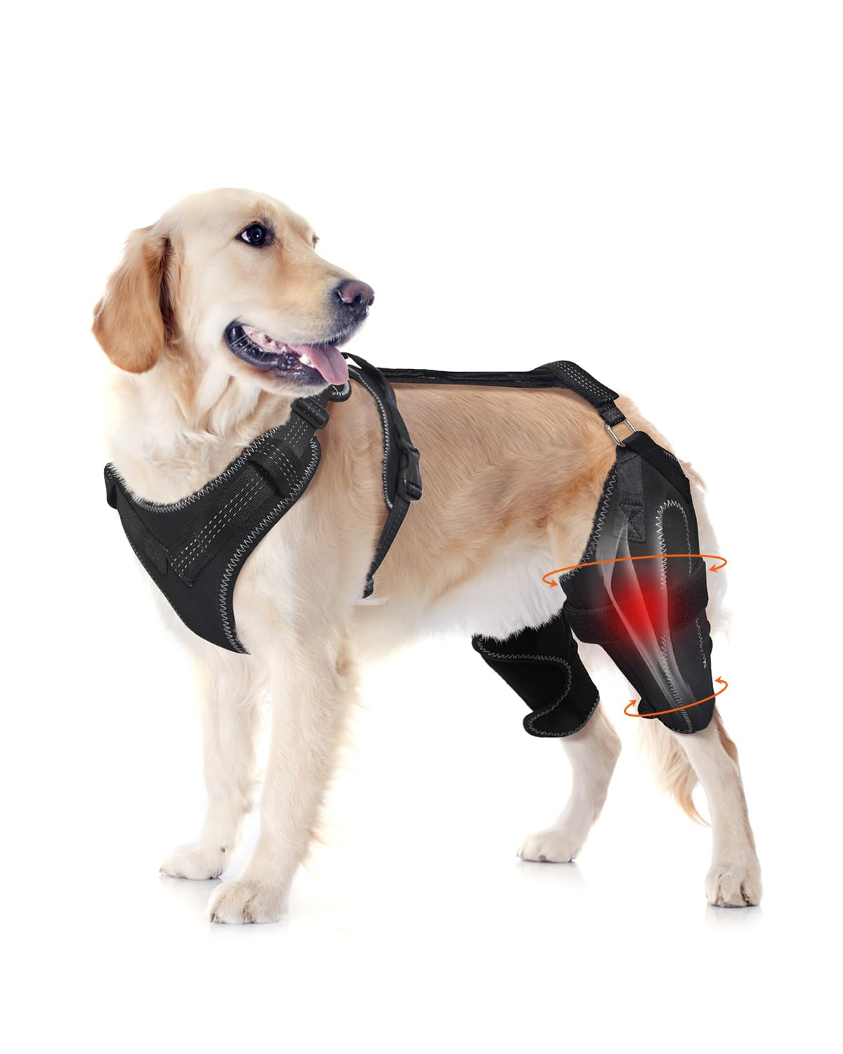LISPOO Dog Knee Brace – Rear Leg Support for Luxating Patella,Both Legs