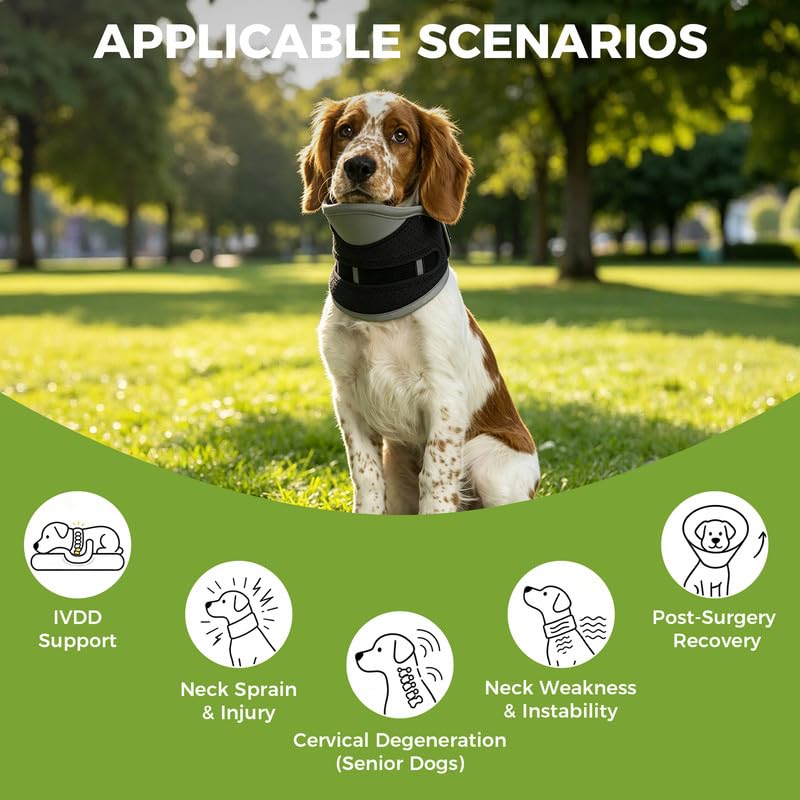 Dog Neck Support Brace for Large Breeds, Cervical Recovery Collar