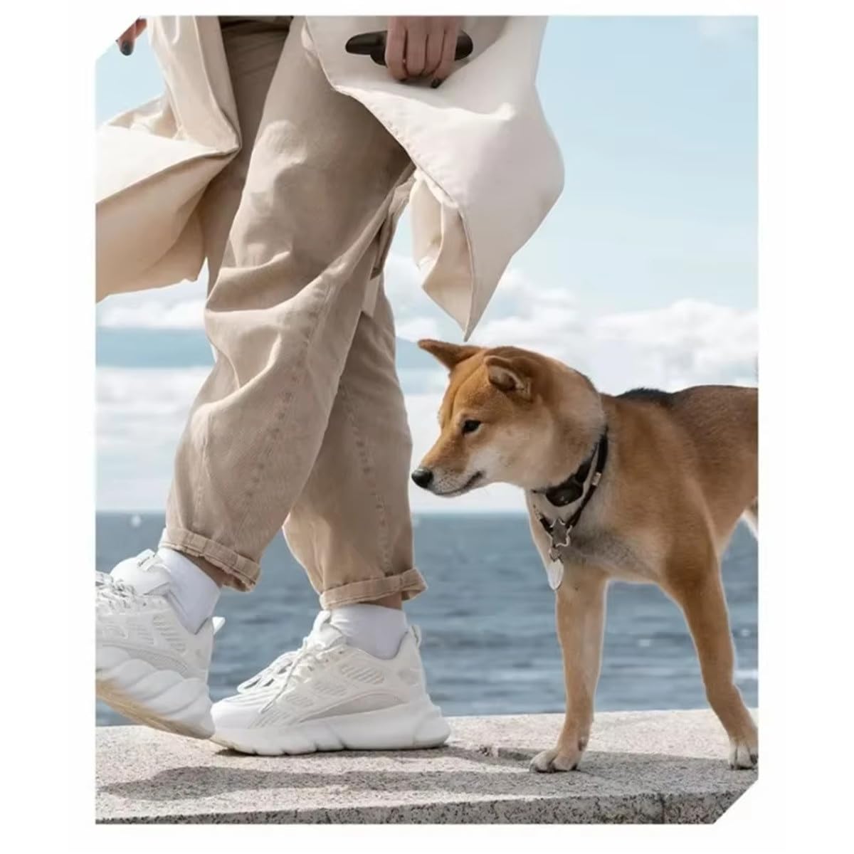 Rechargeable Waterproof Dog Training Collar with Remote Control