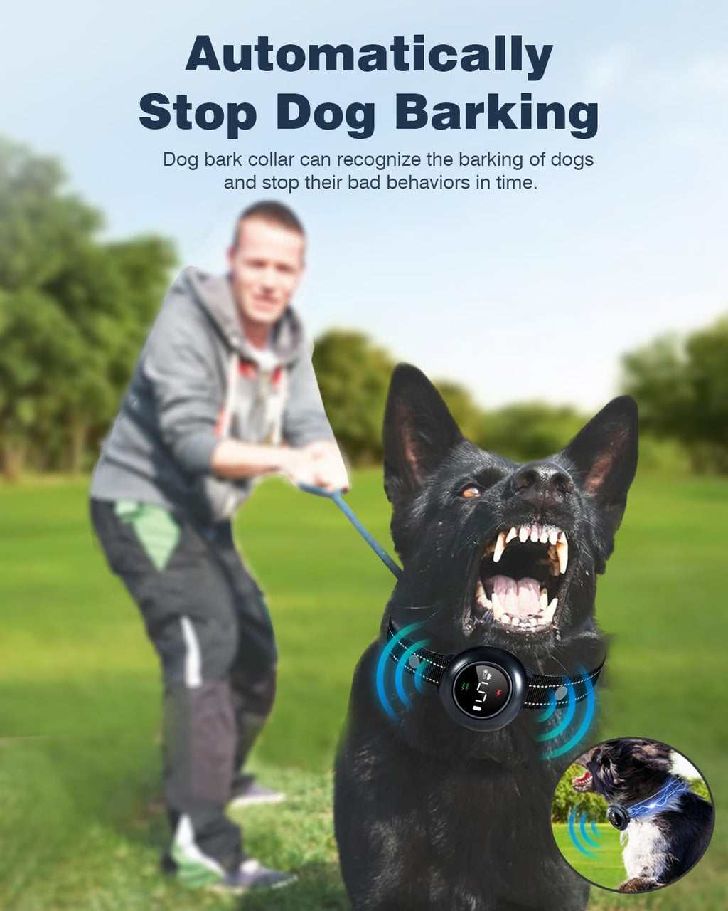 2-in-1 Dog Training Collar with Remote, Beep, Vibration & Shock Modes