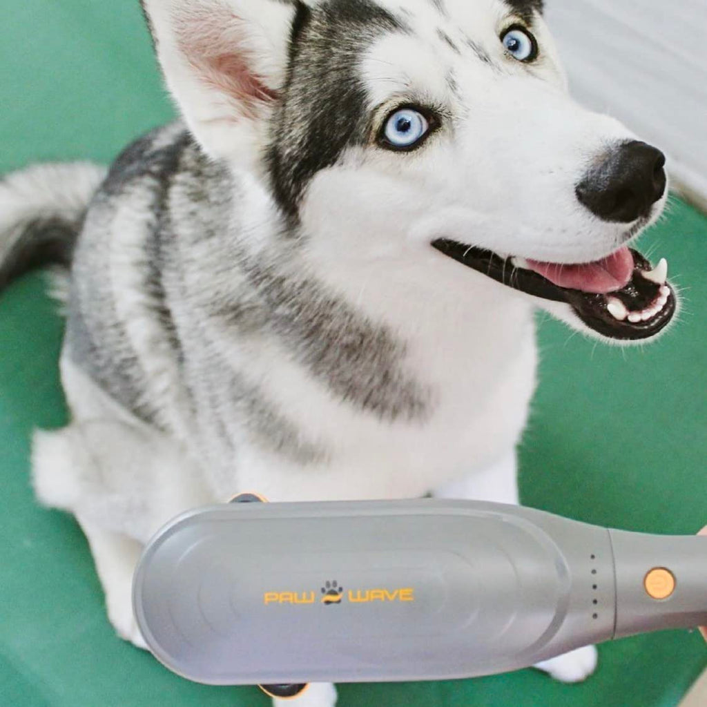Percussion Pet Massager for Dogs & Cats, Muscle Relaxation Tool
