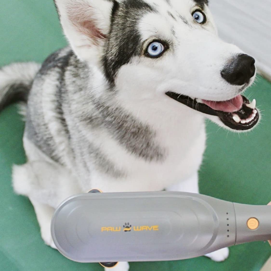 Percussion Pet Massager for Dogs & Cats, Muscle Relaxation Tool