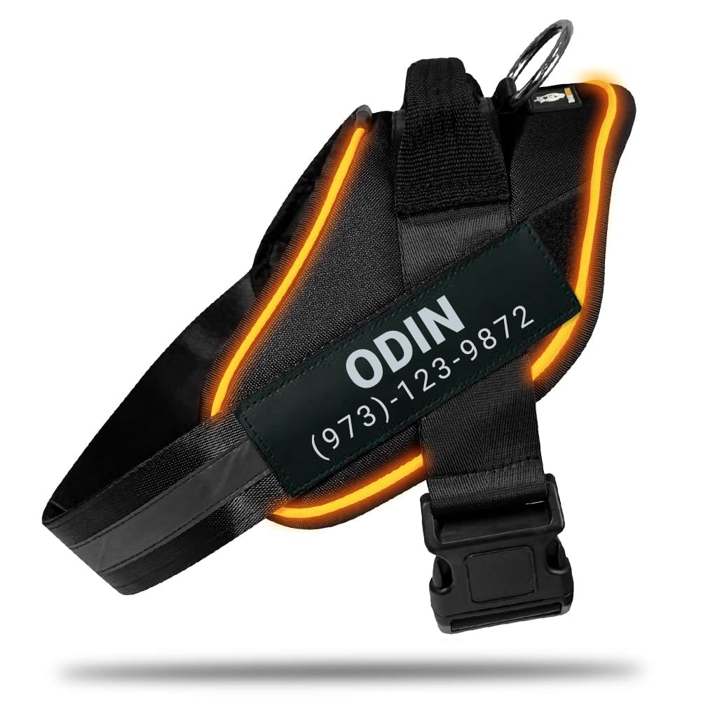 Harness LED POD