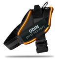 Harness LED POD