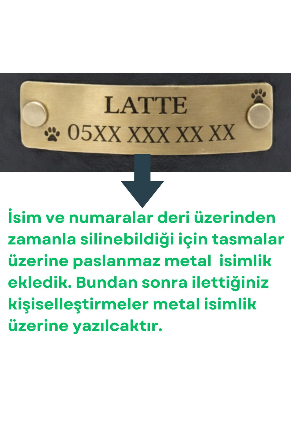 Personalized Genuine Leather Dog Collar with Stainless Steel D-Ring