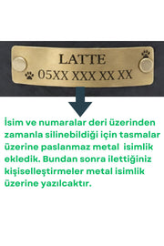 Personalized Genuine Leather Dog Collar with Stainless Steel D-Ring