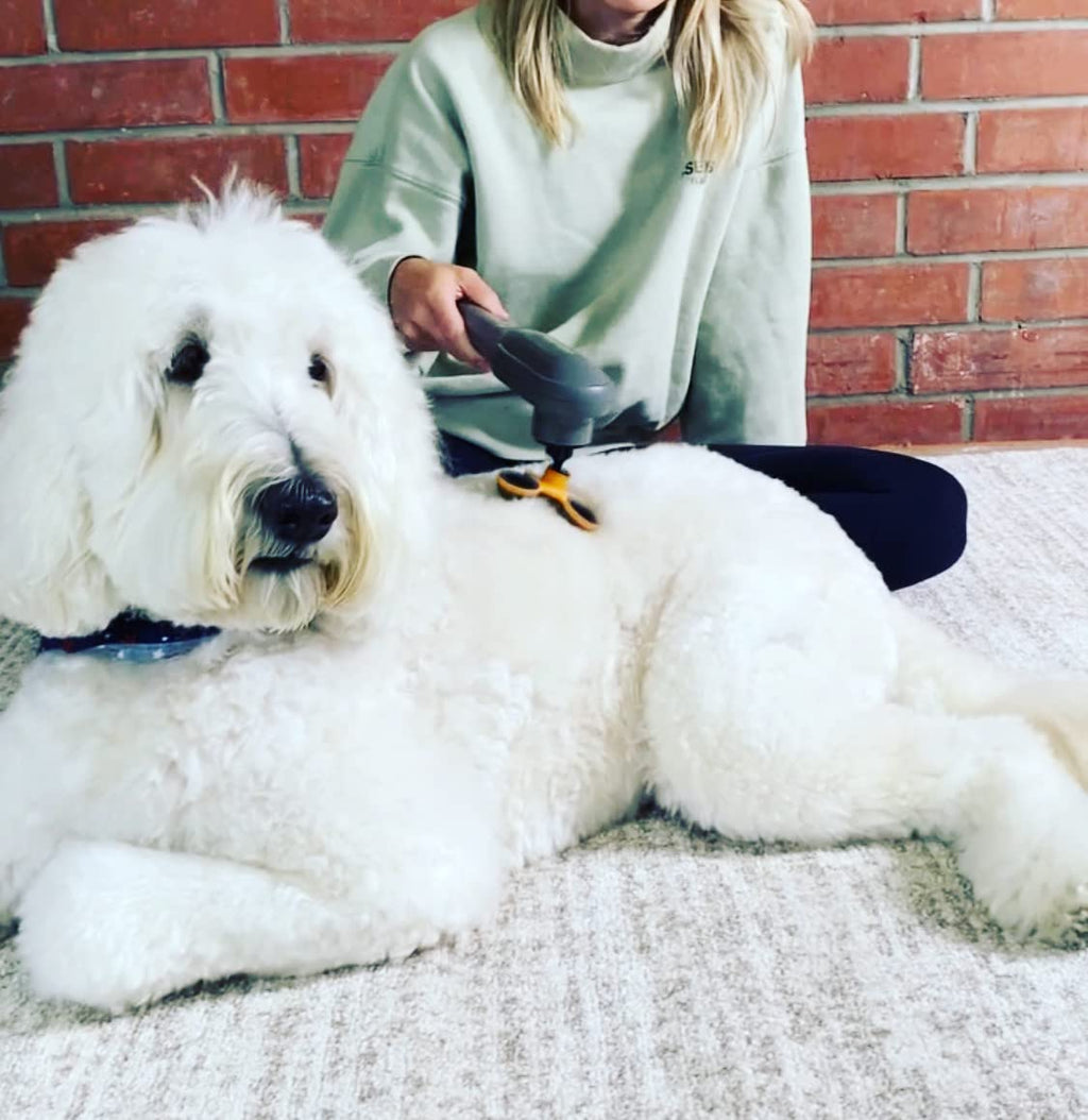 Percussion Pet Massager for Dogs & Cats, Muscle Relaxation Tool