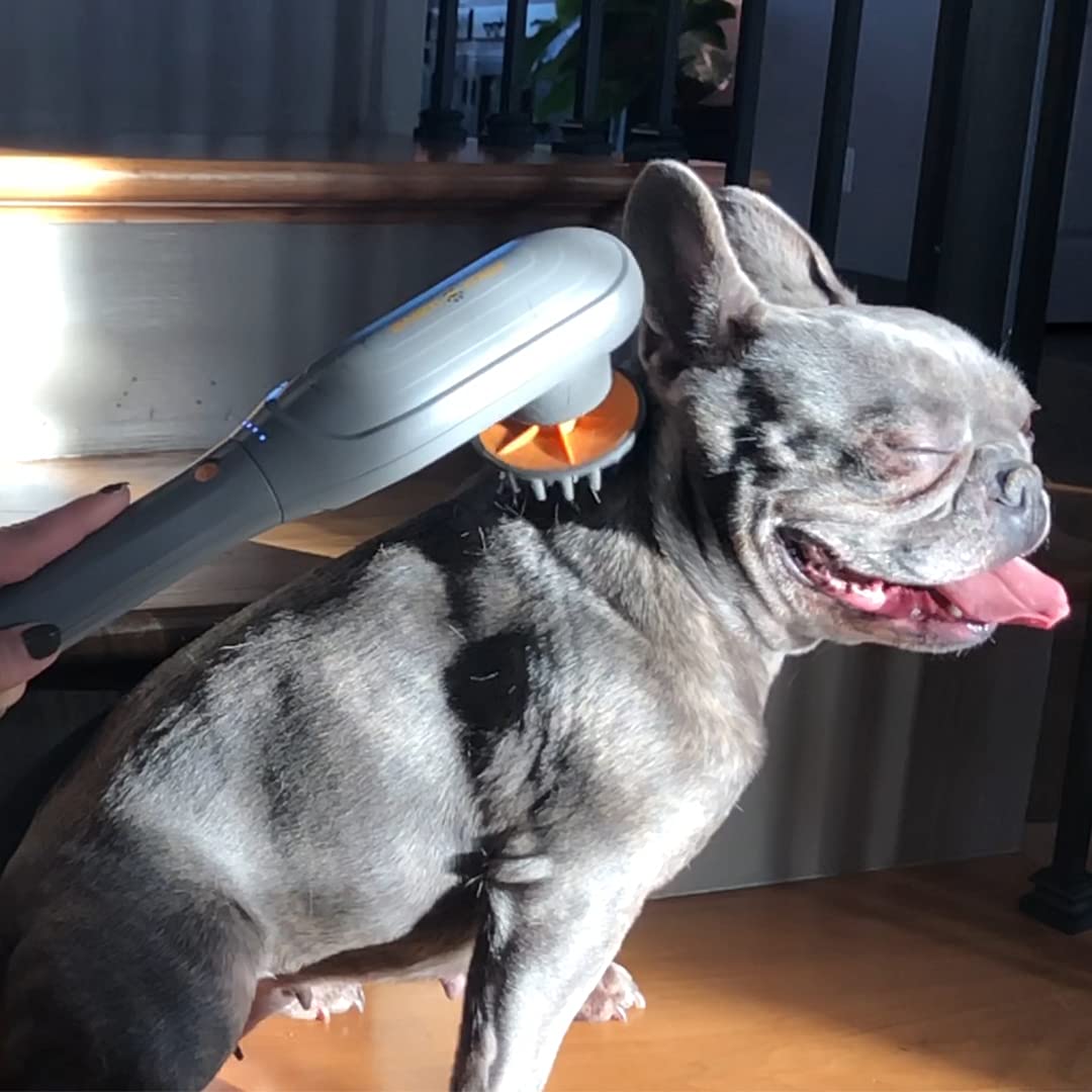 Percussion Pet Massager for Dogs & Cats, Muscle Relaxation Tool