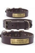 Personalized Genuine Leather Dog Collar with Stainless Steel D-Ring