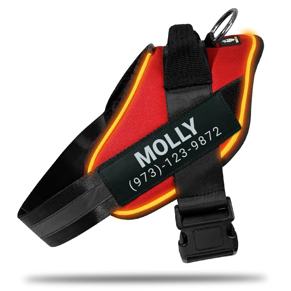 Harness LED POD