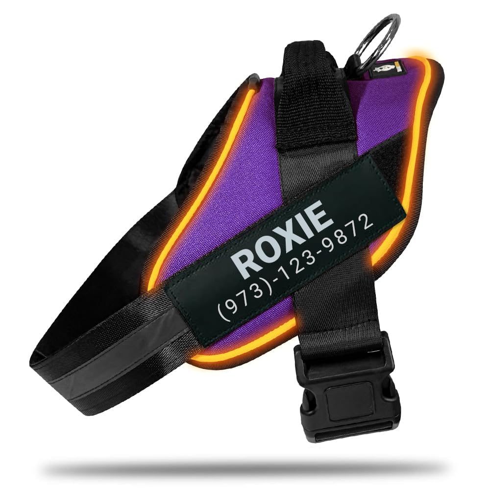 Harness LED POD