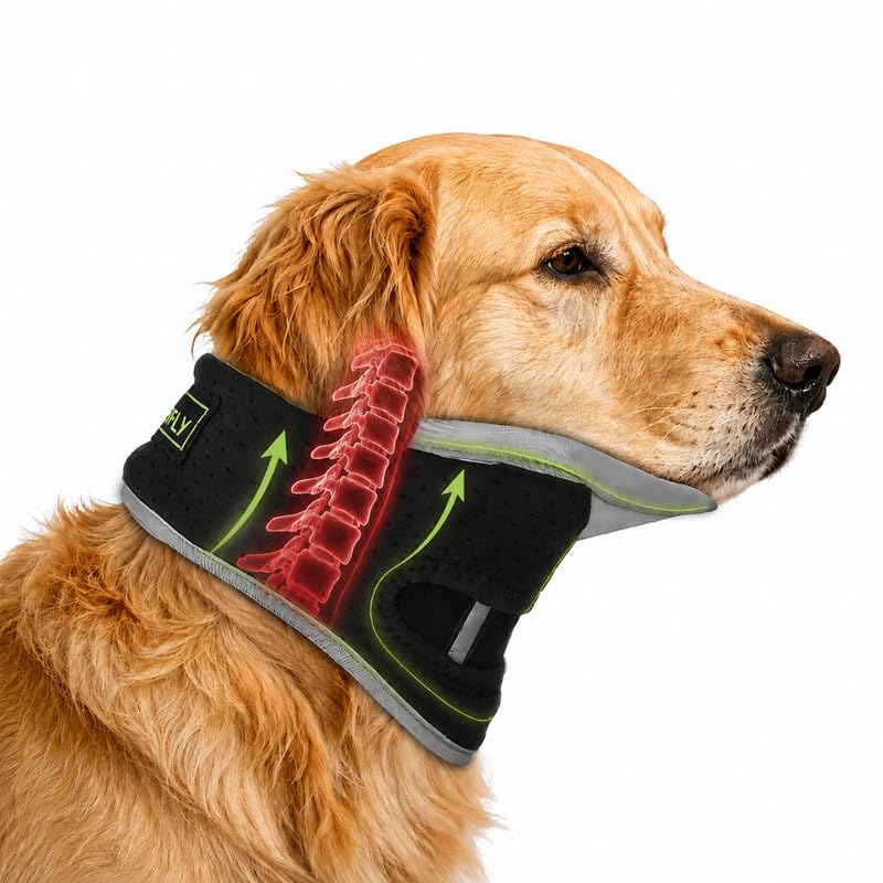 Dog Neck Support Brace for Large Breeds, Cervical Recovery Collar
