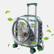 Clear Pet Trolley Carrier with Universal Wheels for Cats & Puppies