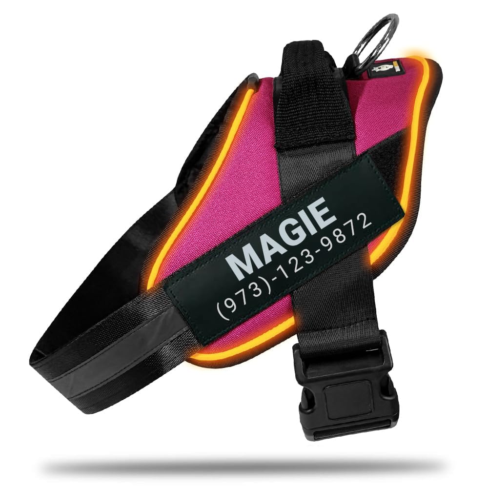 Harness LED POD