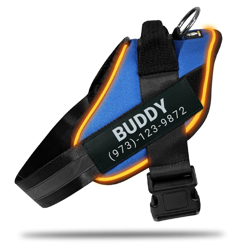 Harness LED POD