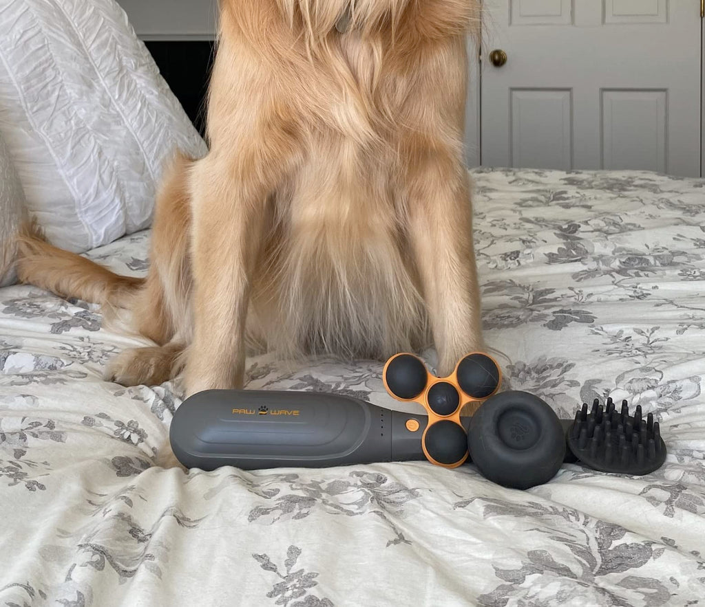 Percussion Pet Massager for Dogs & Cats, Muscle Relaxation Tool