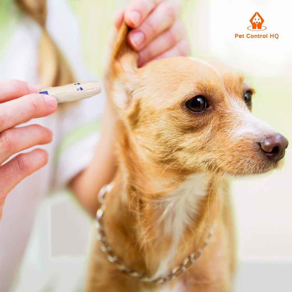 Pet Blood Glucose Monitoring Kit for Dogs & Cats with Test Strips