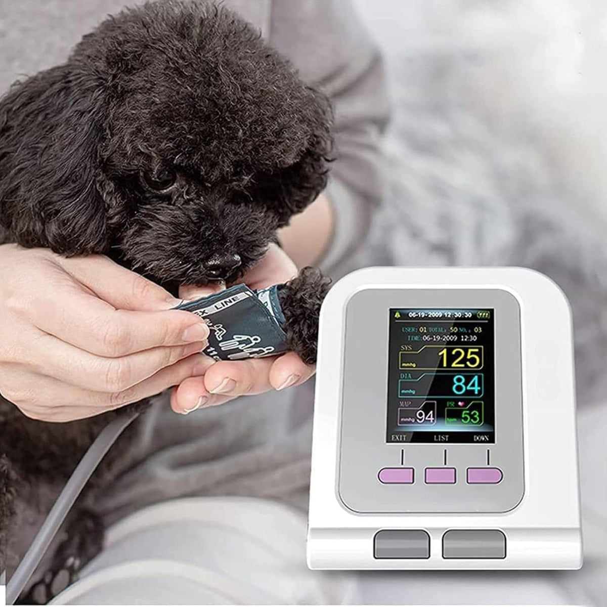 Digital Veterinary Blood Pressure Monitor with 3 Cuffs & LCD Display