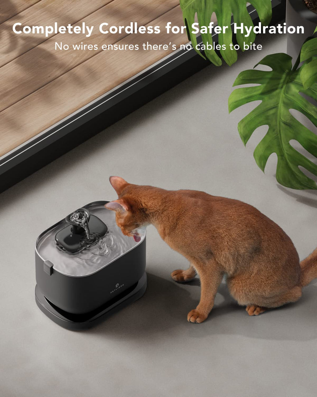 Wi-Fi Automatic Pet Feeder & Cordless Water Fountain Set, 5L + 2.5L