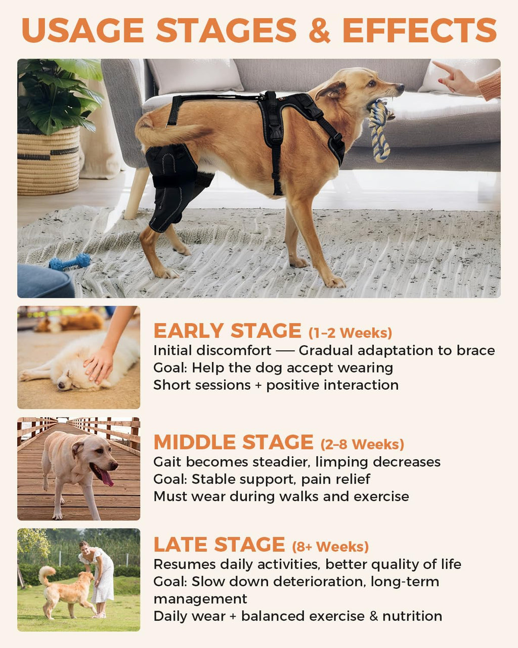 LISPOO Dog Knee Brace – Rear Leg Support for Luxating Patella,Both Legs