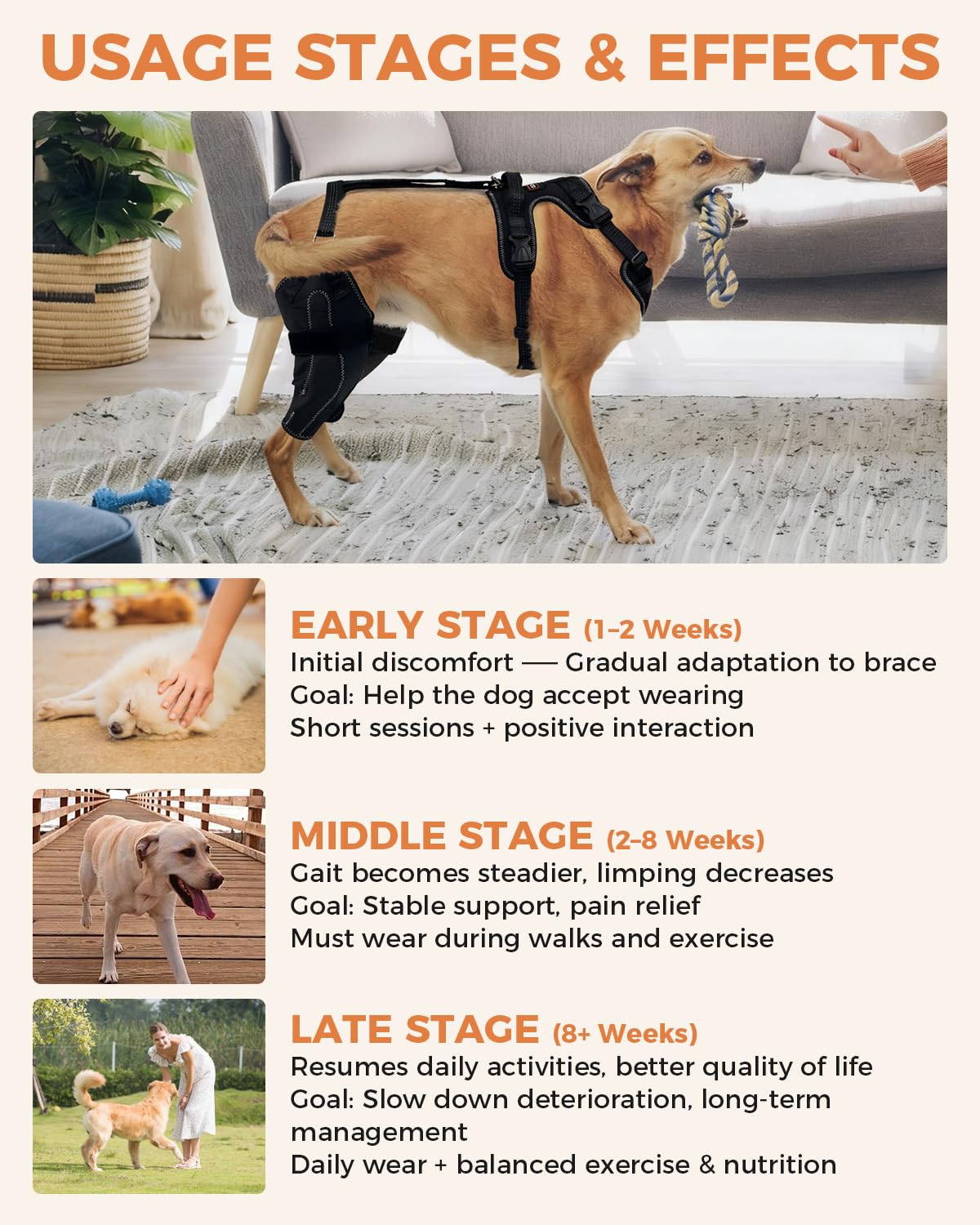 LISPOO Dog Knee Brace – Rear Leg Support for Luxating Patella,Both Legs