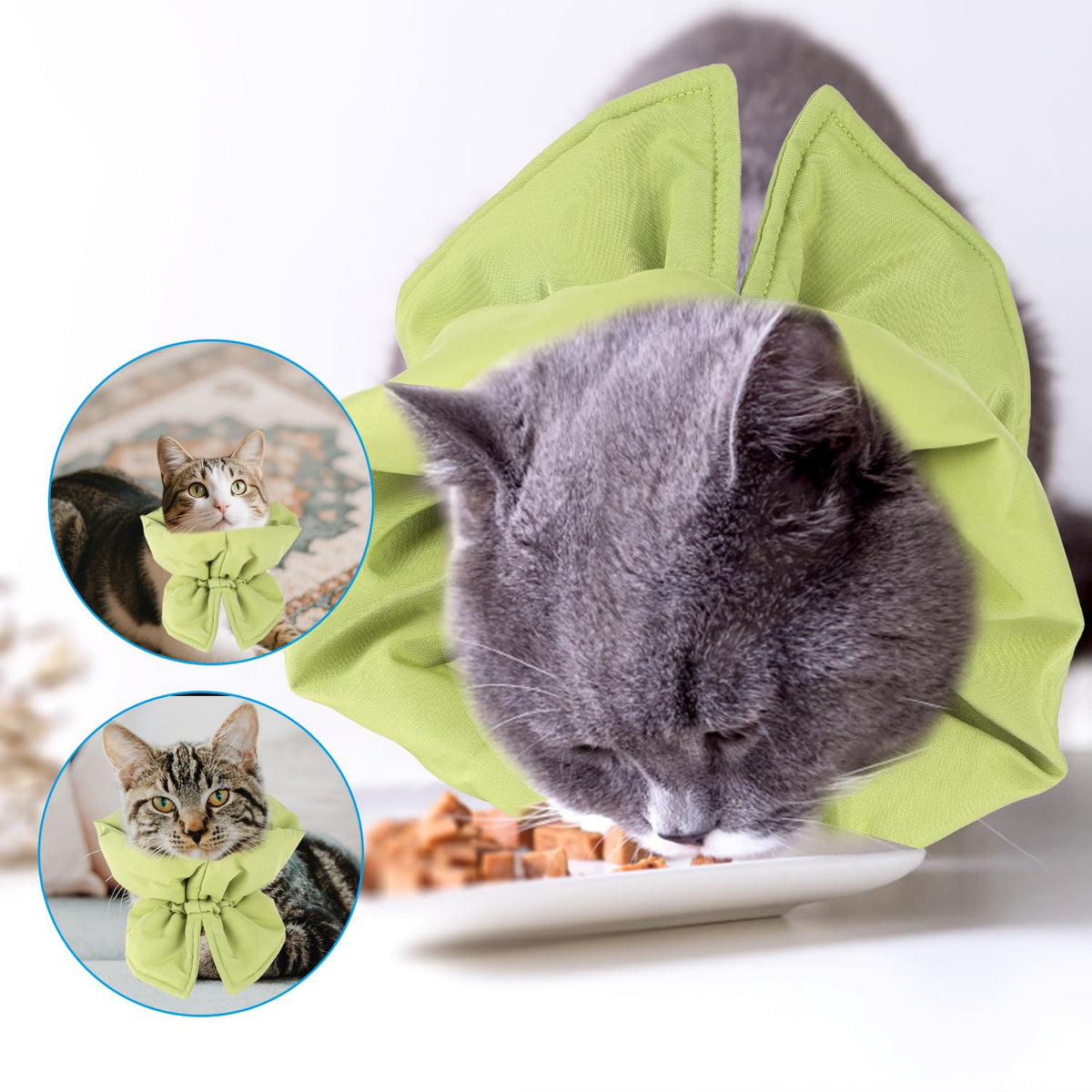 Adjustable Soft Recovery Collar for Dogs & Cats, Waterproof Design