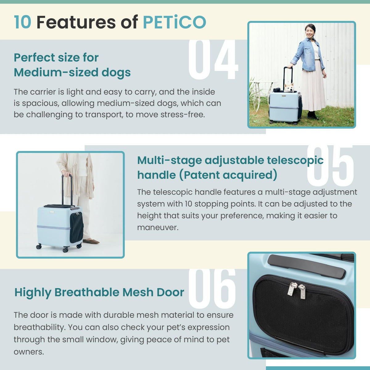 PETiCO ICO Sturdy and Versatile Pet Carrier