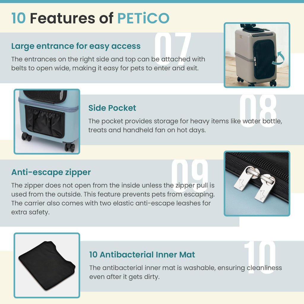 PETiCO ICO Sturdy and Versatile Pet Carrier