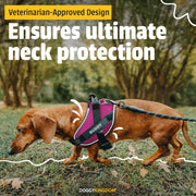 Harness LED POD