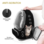 Transparent Cat Backpack Carrier with Breathable Design, Up to 15lbs