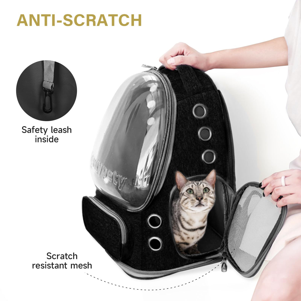 Transparent Cat Backpack Carrier with Breathable Design, Up to 15lbs