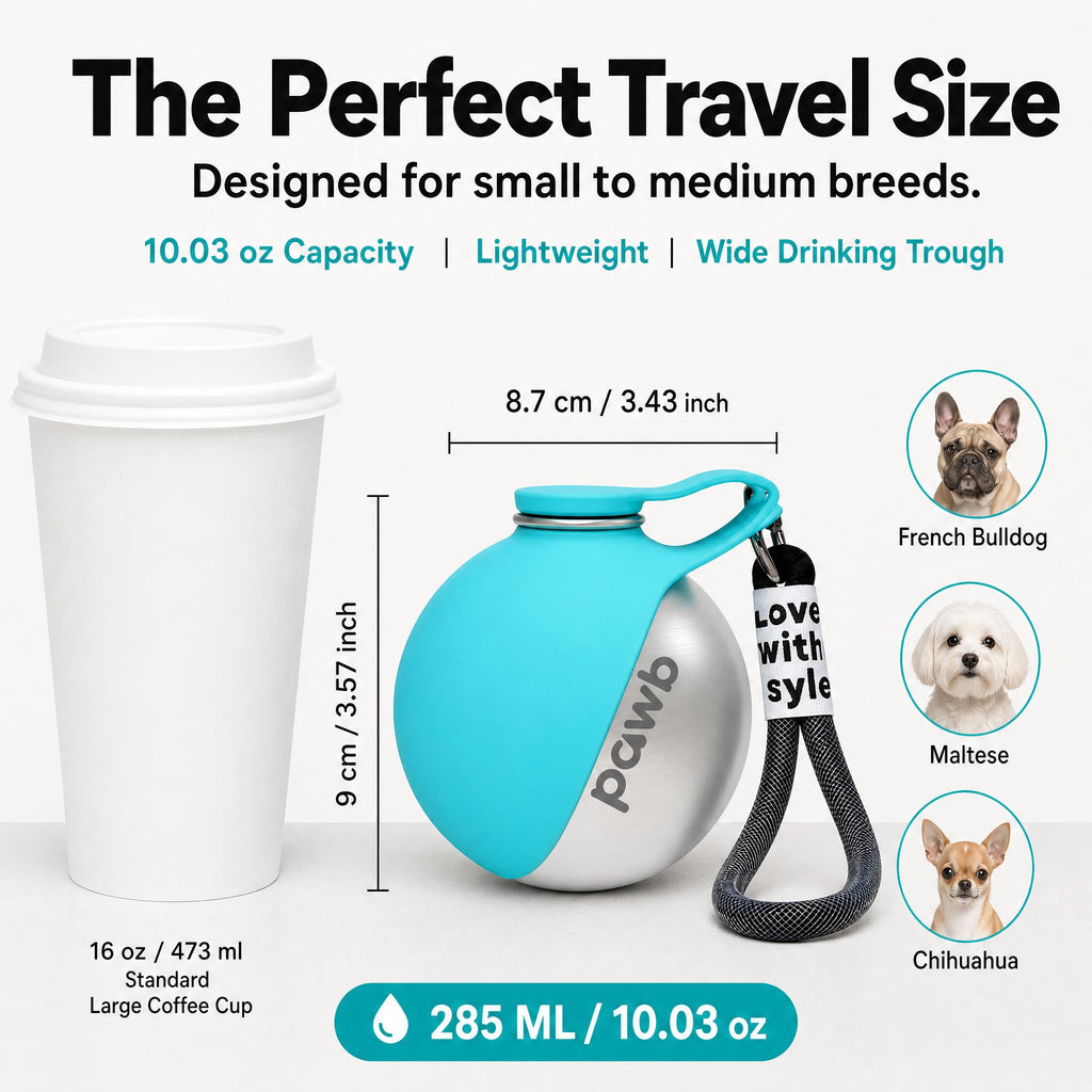 Pawb Pet Bottle Stainless for Small Dogs and Puppies Foldable Silicone Bowl