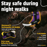 Harness LED POD