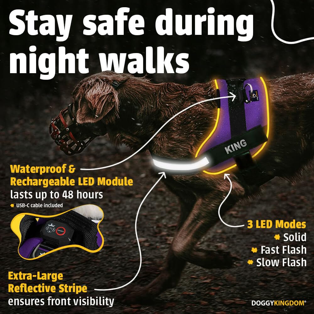 Harness LED POD