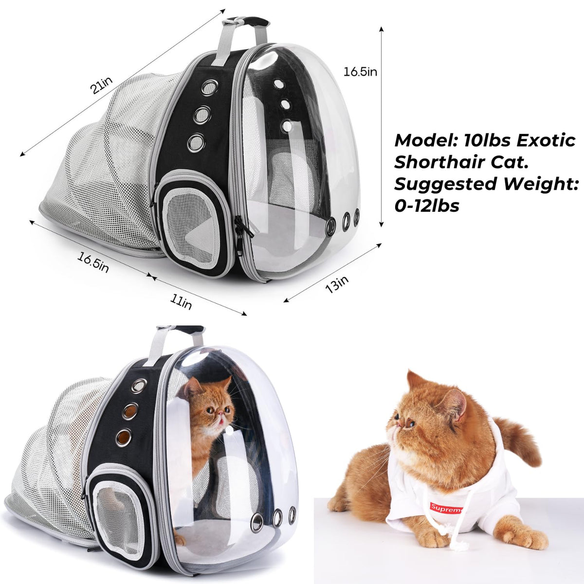 Bubble Pet Carrier Backpack for Cats & Puppies, Airline Approved