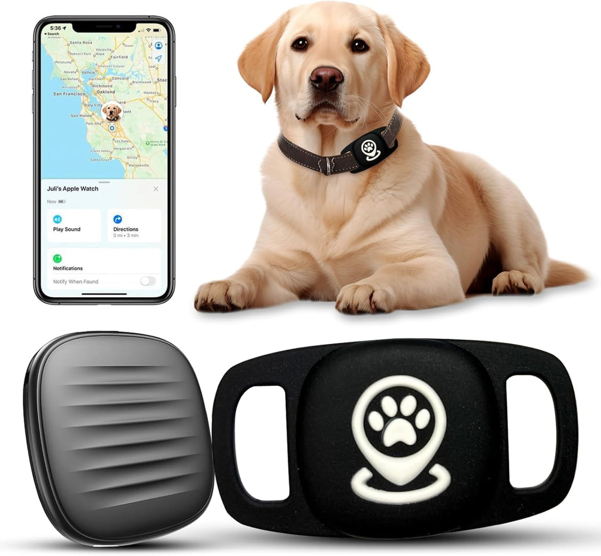 Smart Pet Tracker for Dogs with Find My Support, No Monthly Fee