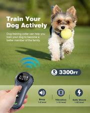 2-in-1 Dog Training Collar with Remote, Beep, Vibration & Shock Modes